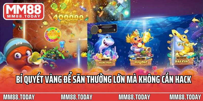 Bí quyết vàng để săn thưởng lớn mà không cần hack